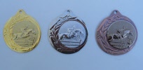 paardenmedaille-p382 -70mm